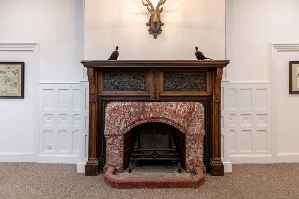 Gallery image